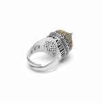 Anello Cupola Cristo Salvatore | Mosca
